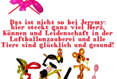 bildergalerie image 16