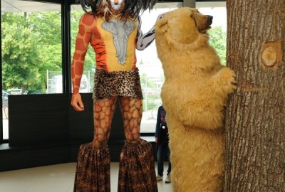 bildergalerie image 3